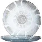 Arcoroc J0232, Plate, Glass