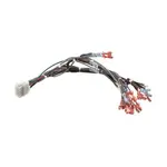 Blodgett 57481, Replacement Parts, Electrical Components, Electrical Cords, Plugs, and Receptacles