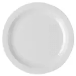 Cambro 10CWNR148, Plates (Non Disposable)