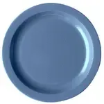 Cambro 10CWNR401, Plates (Non Disposable)