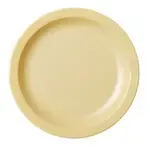 Cambro 55CWNR133, Plates (Non Disposable)