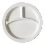 Cambro 93CW148, Plates (Non Disposable)