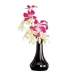 Cambro BV6CW110, Vases