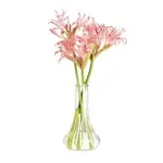 Cambro BV6CW135, Vases