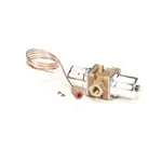 Carpigiani IC581800119, Replacement Parts, Pressure Components, Valves, Valve Components