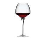 Chef & Sommelier U1012, Glass, Wine