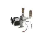 Curtis WC-1039, Replacement Parts, Pumps, Water Pumps
