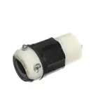 Custom Deli Equipment 8024455, Replacement Parts, Electrical Components, Electrical Cords, Plugs, and Receptacles