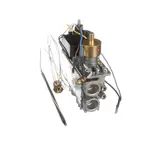 Electrolux Professional 0G7801, Replacement Parts, Pressure Components, Valves, Combo valves