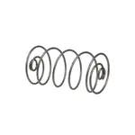 Gaylord 11301, Replacement Parts, Equipment Hardware, Springs