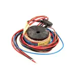 Giorik 6041100, Replacement Parts, Electrical Components, Control Boards