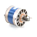 Globe A260, Replacement Parts, Motors, AC Motors