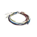 Globe , U00700, Replacement Parts, Electrical Components, Electrical Cords, Plugs, and Receptacles