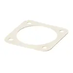 Globe X30059-1, Replacement Parts, Gaskets and Seals, Miscellaneous Gaskets and Seals