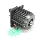 Globe X30068P, Replacement Parts, Motors, AC Motors