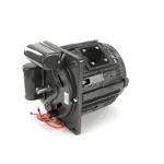Globe X60068-2, Replacement Parts, Motors, AC Motors