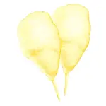 Gold Medal 3230, Flossugar - Summer Passion