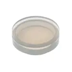 Grindmaster-Cecilware 61229, Replacement Parts, Electrical Components, Electrical Cords, Plugs, and Receptacles