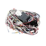 Grindmaster-Cecilware , CH146L, Replacement Parts, Electrical Components, Electrical Cords, Plugs, and Receptacles