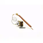 Groen , 137894, Replacement Parts, Temperature Components, Thermostats, Electric Thermostats