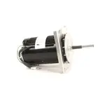 Groen Z081666, Replacement Parts, Motors, AC Motors