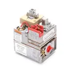 Legion 406455, Replacement Parts, Pressure Components, Valves, Combo valves