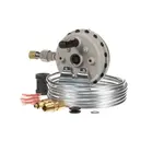 Lochinvar 100166249, Replacement Parts, Electrical Components, Relays and Switches