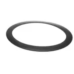 Lochinvar 100208766, Replacement Parts, Gaskets and Seals, Miscellaneous Gaskets and Seals