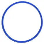 Rational 5012.0566P, Replacement Parts, Gaskets and Seals, Cooking Equipment Door Gaskets