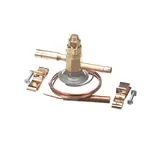 RPI Industries R002681, Replacement Parts, Pressure Components, Valves, Valve Components