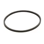 Stoelting 152234, Replacement Parts, Driving Belts, Chains, Sprockets