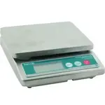 Taylor Precision , TE10CSW, Tools & Test Equipment, Scales