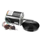 Trane MOT18819, Replacement Parts, Motors, AC Motors