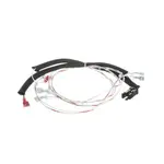 Vulcan 00-498202-00072, Replacement Parts, Electrical Components, Electrical Cords, Plugs, and Receptacles