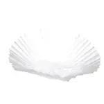 Wilbur Curtis GEM-6-103, Replacement Parts, Filtration Components, Oil Filtering Supplies, Filter paper & powder