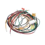 Wilbur Curtis WC-13046-101, Replacement Parts, Electrical Components, Electrical Cords, Plugs, and Receptacles