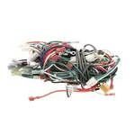 Wilbur Curtis WC-13354, Replacement Parts, Electrical Components, Electrical Cords, Plugs, and Receptacles